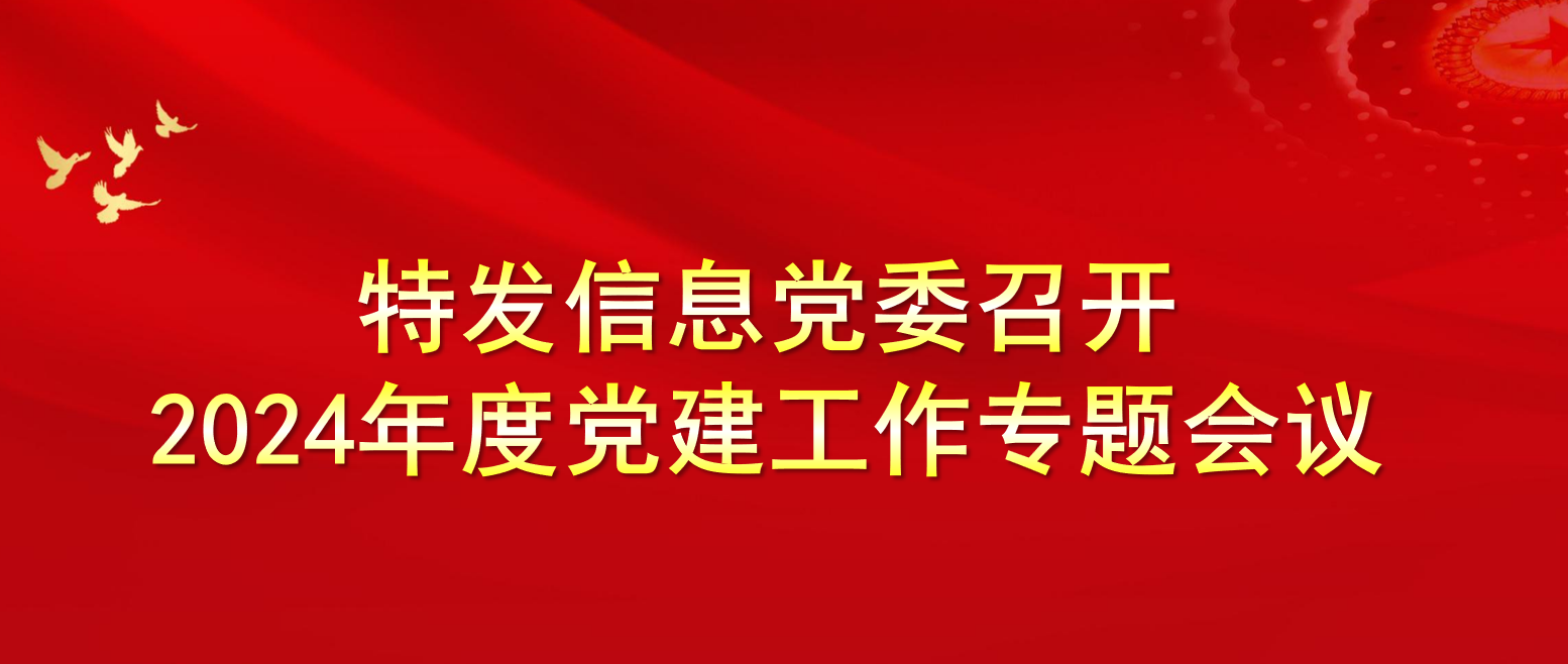 特發(fā)信息黨委召開(kāi)2024年度黨建工作專題會(huì)議